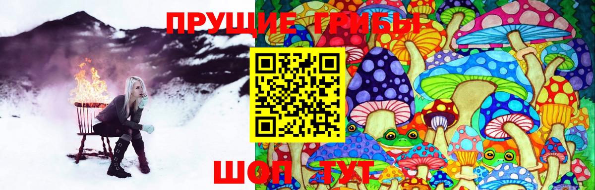 Галлюциногенные грибы Cubensis Тулун