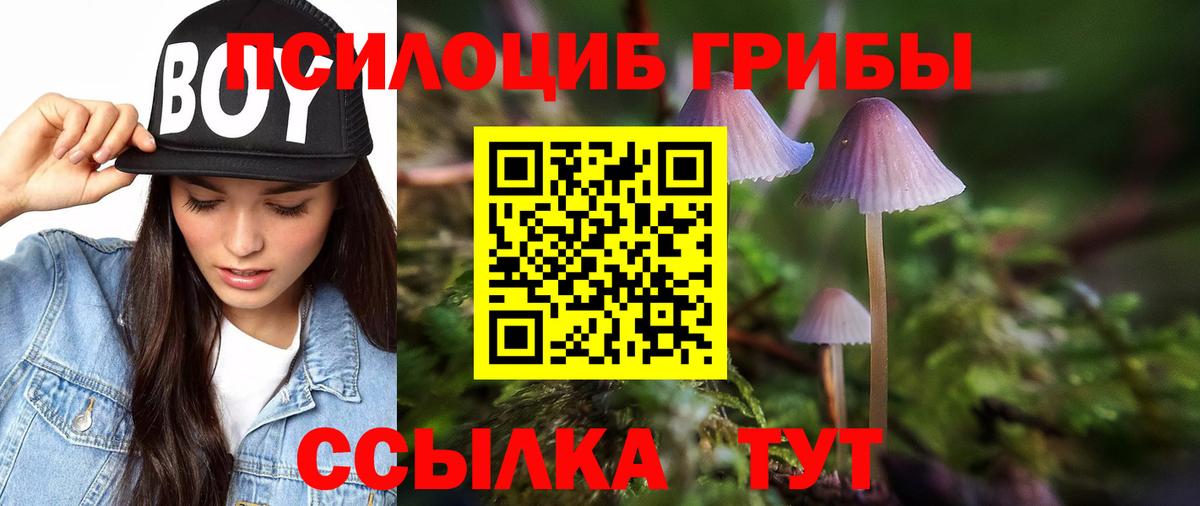 Псилоцибиновые грибы Psilocybe  Вход с VPN  Тулун  Галлюциногенные грибы мухоморы 